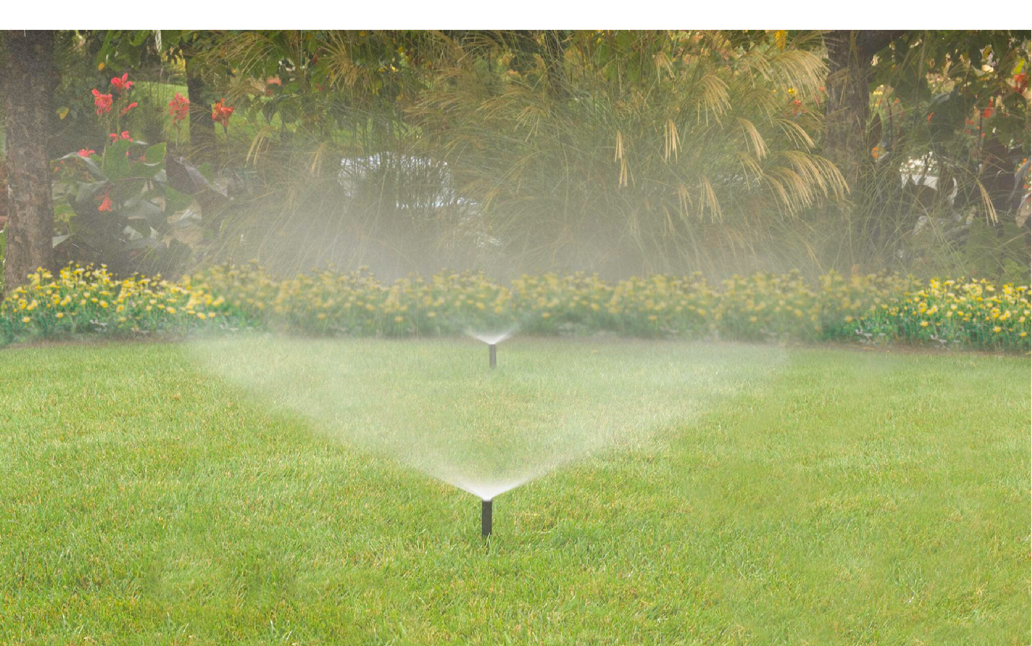 Irrigation sprinklers watering a green grass with tress and flowers int he background