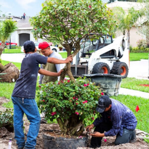 Bedgeco Landscaping - Kelowna Landscape Specialists photo 4