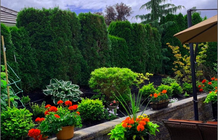 Closeup of a rock wall garden